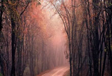 [欧冠开场哨]20240416 凯恩回伦敦 拜仁战平阿森纳.